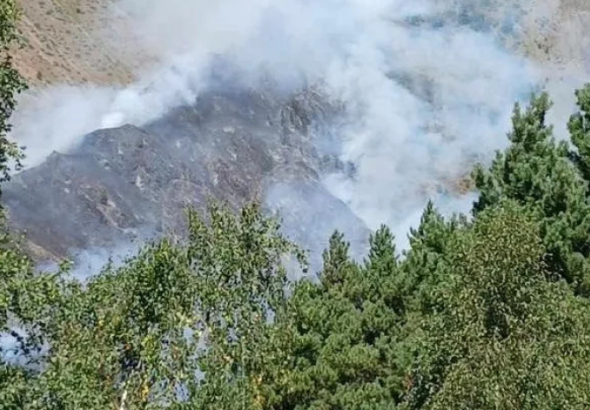 ბაღდათის მუნიციპალიტეტში, ტყეში გაჩენილი ხანძარი ლიკვიდირებულია