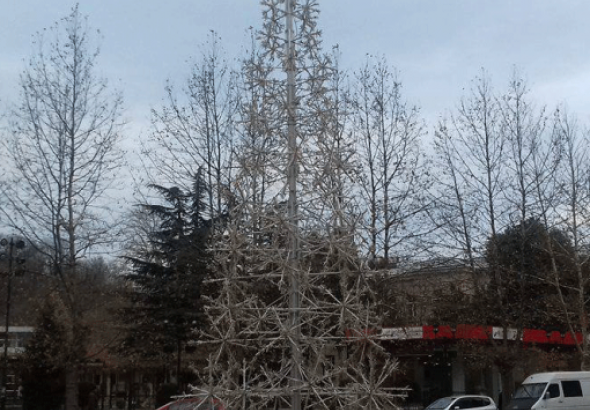 ქუთაისში საახალწლო ნაძვისხე დადგეს