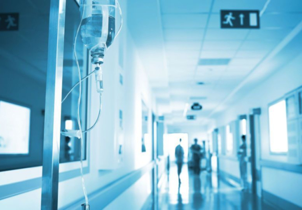 იმერეთში, სოკოთი ინტოქსიკაციის რამდენიმე შემთხვევა დაფიქსირდა