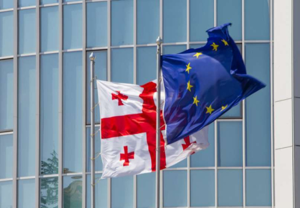 „ვგმობთ საქართველოს ხელისუფლების ყველა ქმედებას, რომელმაც გამოიწვია დემოკრატიული უკუსვლა“