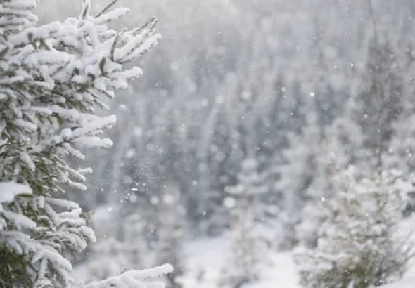 3 იანვრამდე საქართველოში ცივი და ნალექიანი ამინდი შენარჩუნდება