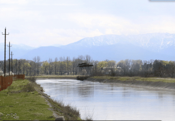 „თურმე, ჭაობის დაშრობა არ იგეგმება და სტუდენტებს ბაყაყებთან ერთად მოუწევთ სწავლა“ - გიგა შუშანია