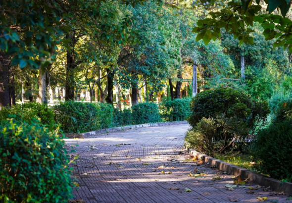 ქუთაისის მერია სკვერებისა და გაზონების მოვლა-პატრონობისა და ექსპლოატაციისთვის 2 მილიონამდე ლარის ტენდერს აცხადებს