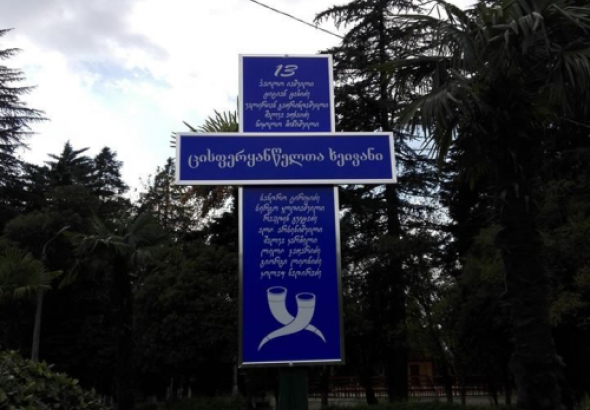 ქუთაისში "ცისფერყანწელთა ხეივანი" დააზიანეს