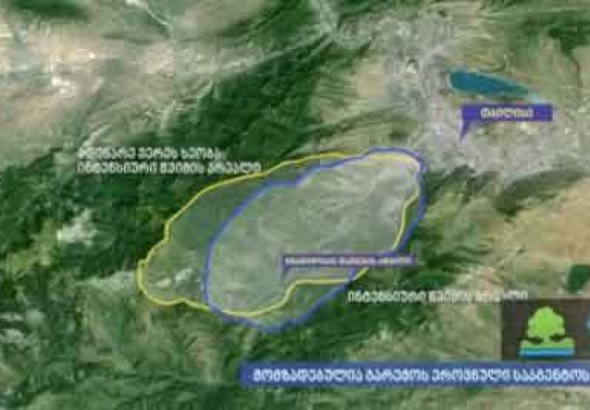 სტიქიის განვითარების გრაფიკა 