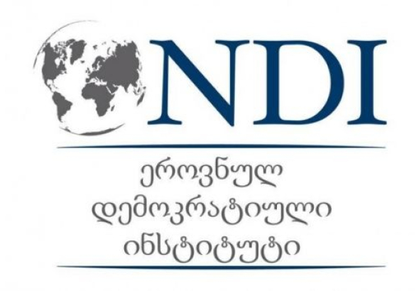 "მმართველმა პარტიამ წინასაარჩევნო შემოწირულობების 95% მიიღო" - (NDI