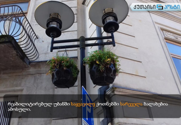 გამწვანება ქუთაისში სარეველა ბალახებით (ფოტო)