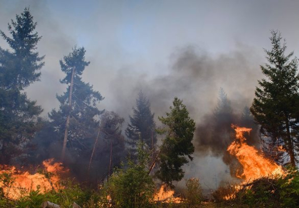 ბაღდათში, ტყის ფერდობზე, ხანძარია - სალიკვიდაციო სამუშაოებში 200-მდე მეხანძრე-მაშველი და სამი ვერტმფრენია ჩართული