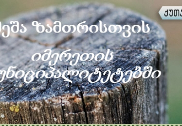 შეშა ზამთრისთვის იმერეთის მუნიციპალიტეტებში (ინფოგრაფიკა)