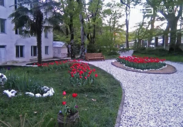 ქუთაისის ბოტანიკურ ბაღს  „მედეა“ დაერქმევა