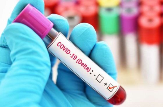 კორონავირუსის 10 დეკემბრის სტატისტიკა