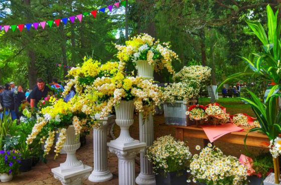 ქუთაისის მერიამ "ორმაისობისთვის" მზადება დაიწყო