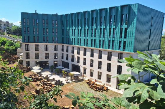 "ეს არის ვერაგული აქტი, მოჭრილია 25-ზე მეტი კედარი" - ქუთაისში, მწვანე სექტორი განადგურებულია