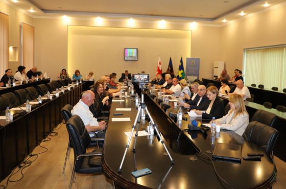 საკრებულომ "გუბერსკის" ციხისა და საკონსერვოს ყოფილი ტერიტორიის განაშენიანების გეგმა დაამტკიცა