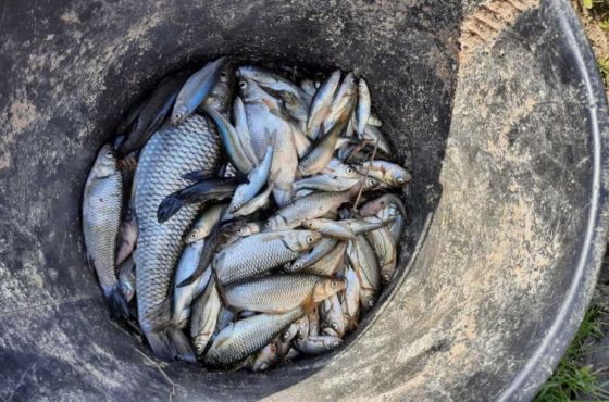 ვარციხეში უკანონო თევზჭერის ფაქტი გამოვლინდა