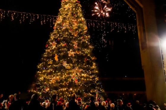 ახალი ნაძვის ხეები და დეკორაციები - იმერეთის მუნიციპალიტეტებმა საახალწლო სამზადისი დაიწყეს