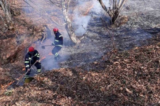 იმერეთის სამ მუნიციპალიტეტში ხანძარია