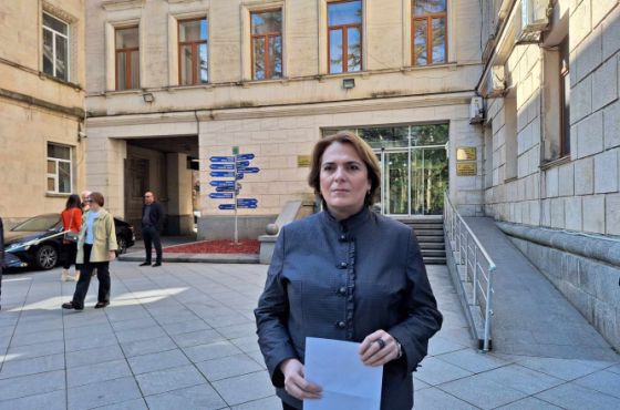 "სხვის გამჭვირვალობას მისდევენ და თავად მოქმედ კანონებსაც არ ასრულებენ" - ენმ "რუსულ კანონზე"