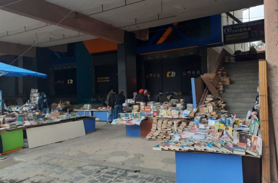 ქუთაისში, ღია სივრცეში  ბიბლიოთეკის მოწყობა იგეგმება 