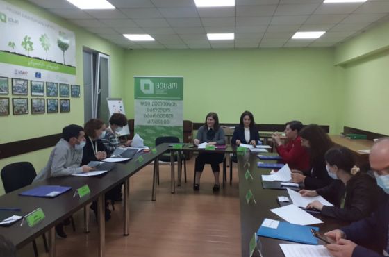 ქუთაისის საოლქო საარჩევნო კომისიამ საჩივრების განხილვა დაიწყო