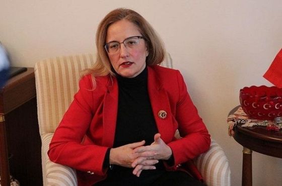 საქართველოს სჭირდება ეს პროექტი - თურქეთის ელჩი „ნამახვანჰესზე“