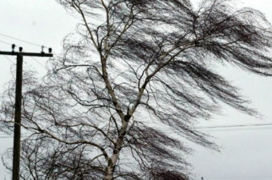 14 იანვრიდან  ქარის სიჩქარე დასავლეთ საქართველოს უმეტეს რეგიონში დაიკლებს