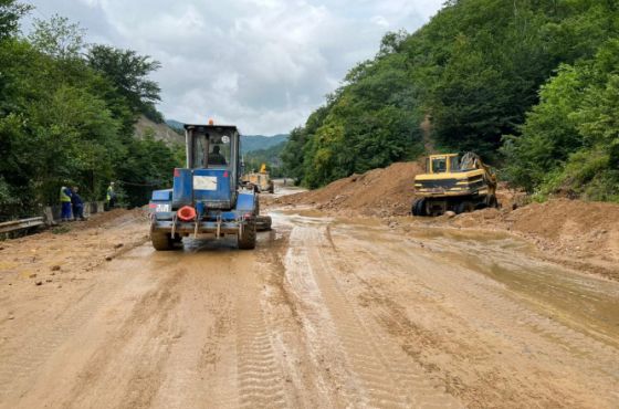რიკოთზე მიწის შვავი ჩამოწვა - მოძრაობა შეზღუდულია
