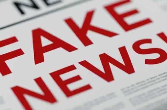 სახელმწიფომ უნდა შეიმუშაოს ერთიანი მესიჯი დეზინფორმაციასთან საბრძოლველად - TI