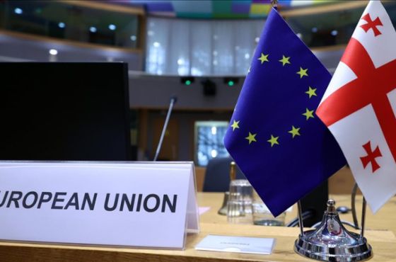 "მიენიჭოს საქართველოს კანდიდატის სტატუსი“ - მარგველაშვილი, სააკაშვილი და სხვა ლიდერები EU-ს მიმართავენ