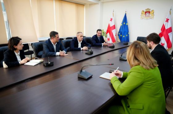მაღაროების დახურვის გადაწყვეტილების გადახედვა, ჭიათურაში ჩასვლა ვითარების შესასწავლად - რაზე იმსჯელეს კომისიის შეხვედრაზე