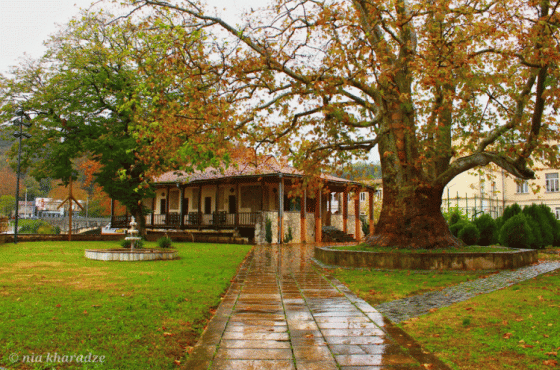 ქუთაისში, ოქროს ჩარდახის  რეაბილიტაცია იწყება