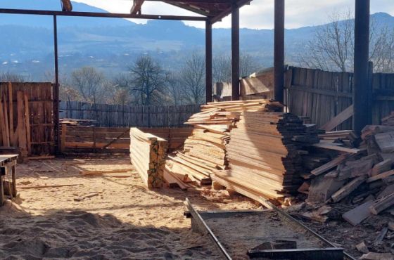 ხარაგაულში 2 არარეგისტრირებული სახერხი საამქრო გამოავლინეს