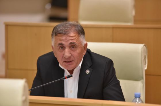 ბინები, აგარაკი,  ფერწერული ტილოები - რა ქონებას ფლობს  პარლამენტის წევრი იმერეთიდან 