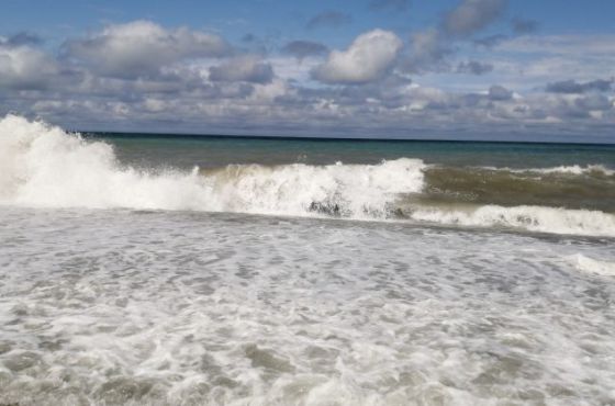 "ნორმის ფარგლებშია" -  შავი ზღვის წყლის ხარისხის მონიტორინგის შედეგები