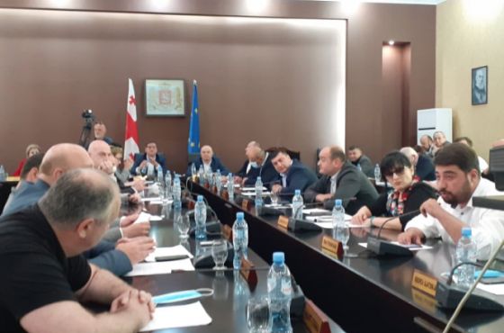 ოპოზიცია პანდემიით დაზარალებულებისთვის ბიუჯეტიდან 5 მილიონი ლარის გამოყოფას ითხოვს