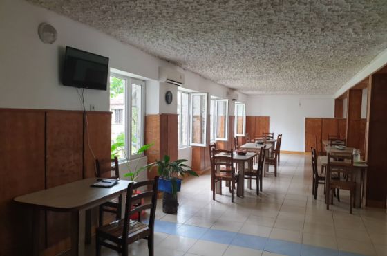 "წყალტუბოში კორონავირუსით ინფიცირებული ქალის კონტაქტები ბევრია" - გუბერნატორი