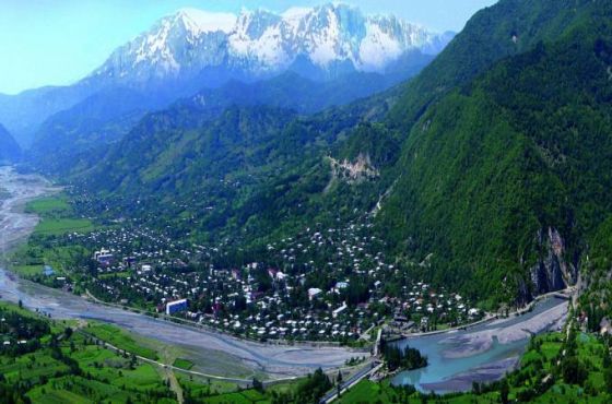 ცაგერის მუნიციპალიტეტში ცოფის 2 შემთხვევა დაფიქსირდა