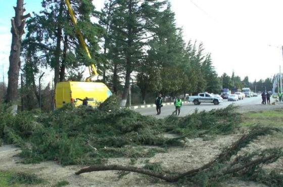 სტიქიის მეოთხე დღე იმერეთში - ამუშავებულია ცხელი ხაზი 