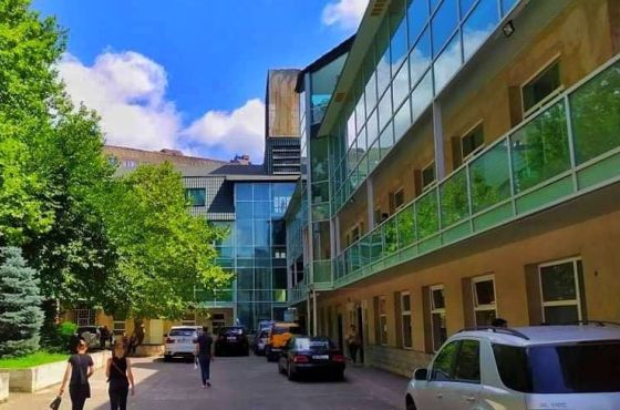 ქუთაისში კოვიდდადებით ქალს ტყუპები შეეძინა