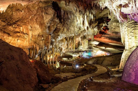 დაცული ტერიტორიები ვიზიტორებისთვის 15 ივნისიდან იხსნება