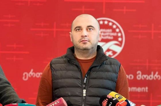 "მზად ვართ, მსოფლიოში საუკეთესო სპეციალისტების ჩამოყვანა უზრუნველვყოთ, რომ გადავარჩინოთ გელათი"