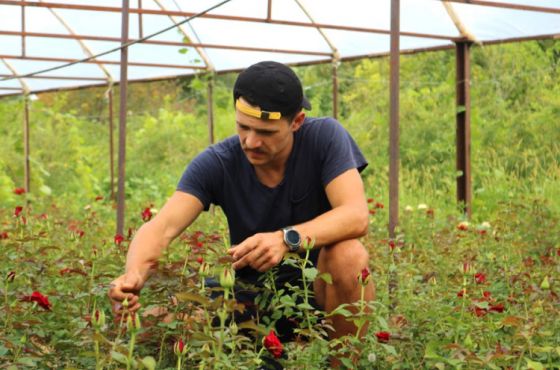 პროფესია, როგორც მემკვიდრეობა და პანდემიას გადარჩენილი ბიზნესი 