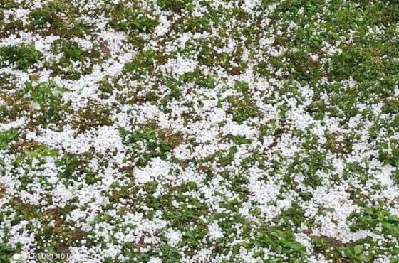 საჩხერეში სეტყვამ რამდენიმე სოფელი დააზარალა