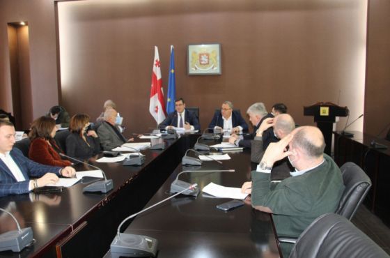 ქუთაისის საკრებულომ გაიჯარებული სკვერის საკითხი დღის წესრიგიდან ამოიღო