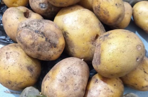 „მათხოვრები ხომ არ ვგონივართ?! - რატომ არიგებენ გაფუჭებულ პროდუქტს ქუთაისის საბავშვო ბაღებში