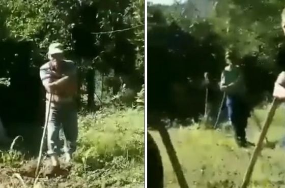  ხარაგაულში ააიპ დასუფთავების უფროსი თანამშრომლებს ყანაში ამუშავებდა 