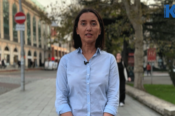 „არ არსებობს უსაფრთხოება თავისუფალი მედიის გარეშე“ - თეა ზიბზიბაძე