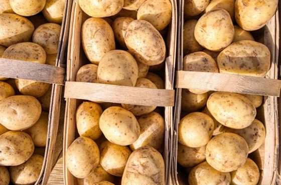 საქართველოს კარტოფილის იმპორტი გაუძვირდა