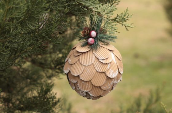 წინასაახალწლოდ, წიწვოვანი მცენარეების მოპოვებასა და ტრანსპორტირებაზე კონტროლი მკაცრდება