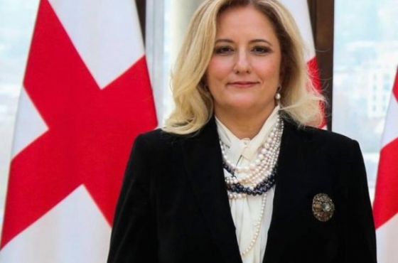 თურქეთის ელჩი ნამახვაჰესის მშენებლობას გამოეხმაურა